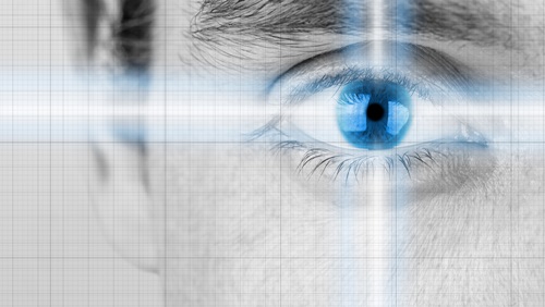 Biometria – klucz do przyszłości. Fot. shutterstock.com
