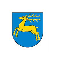 Kozienice