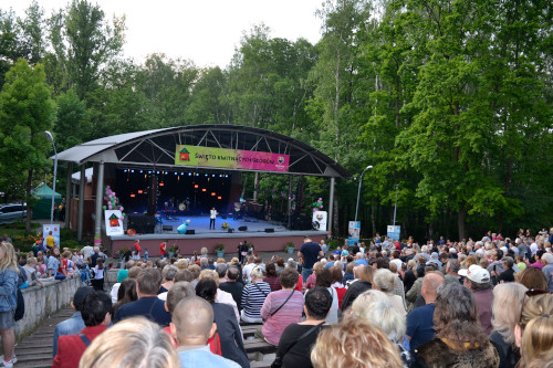 Kulturalne święto w Katowicach: koncerty i pokaz laserów