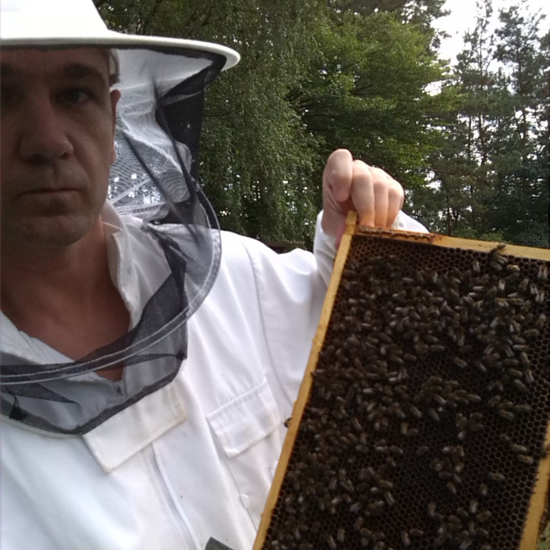 Marcin prezentuje ramkę pszczelą.