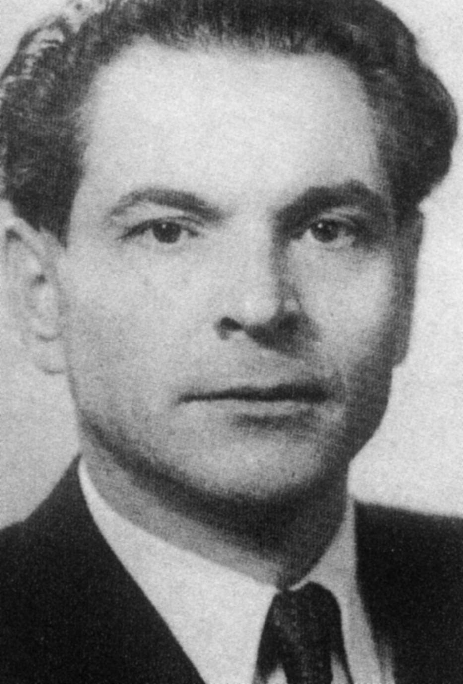 Żbik