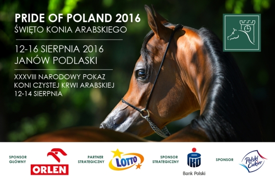 PKO Bank Polski sponsorem prestiżowej aukcji koni
