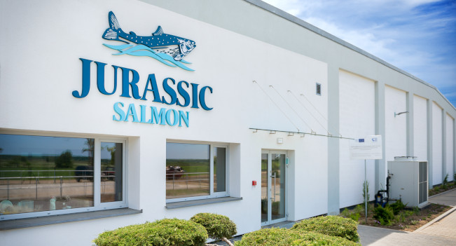 Jurassic Salmon – unikalna w skali światowej hodowla łososi