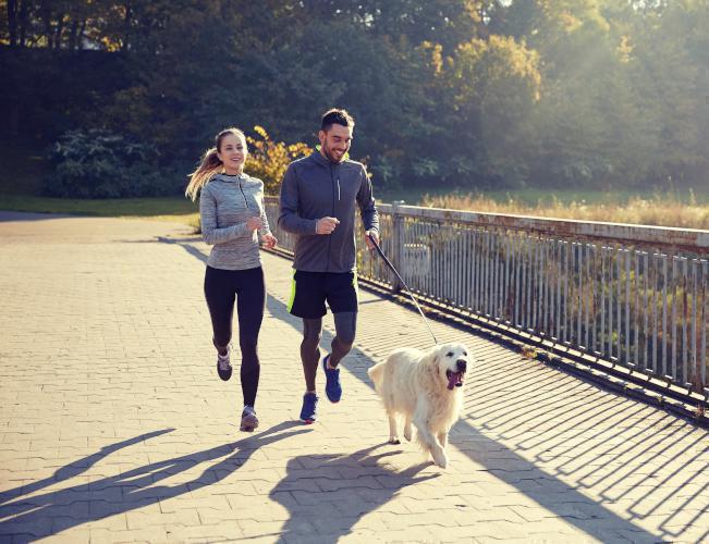 Biegli w bieganiu #18: Co trzeba wiedzieć zanim zacznie się biegać z psem?