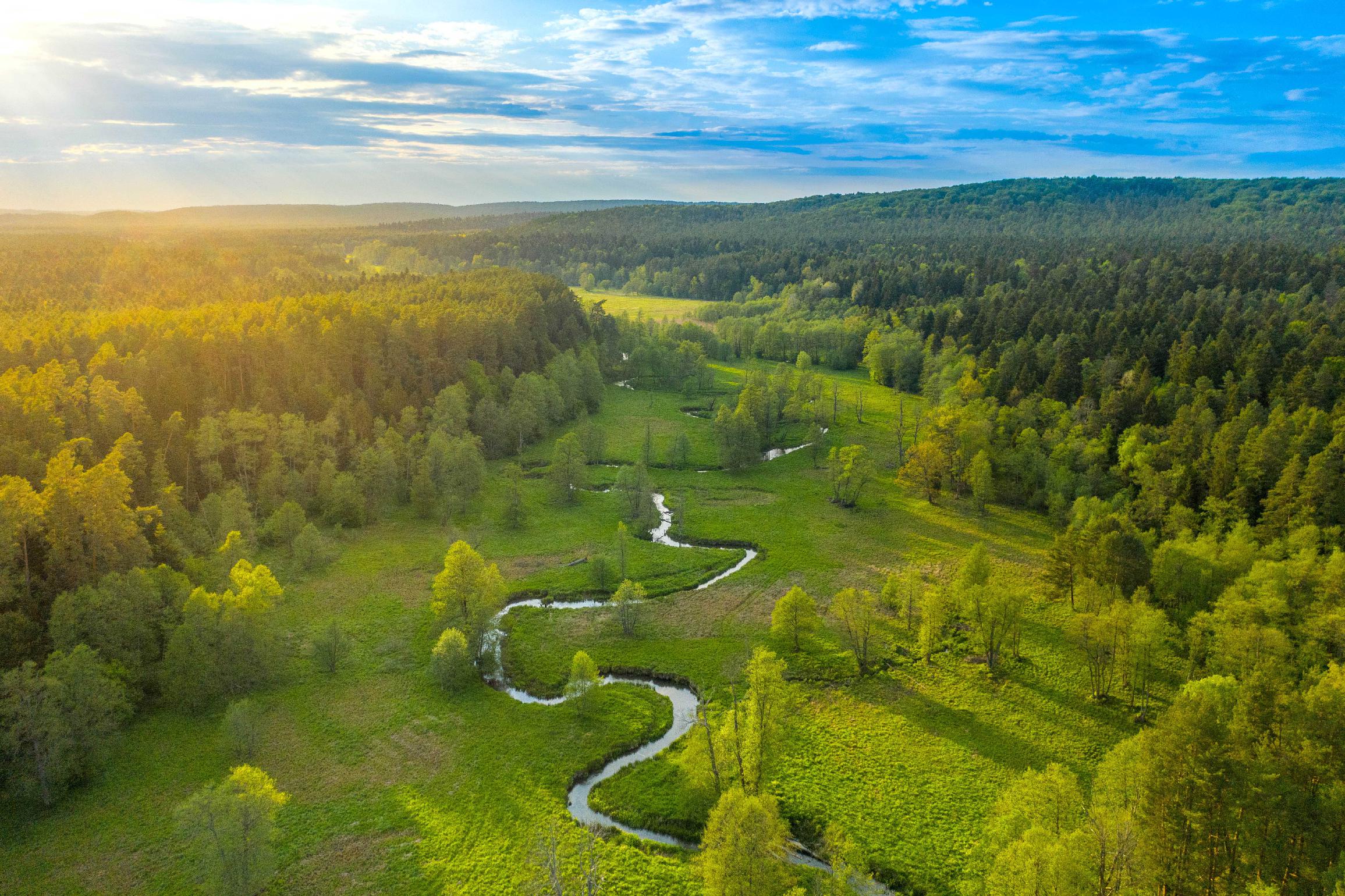 podlasie